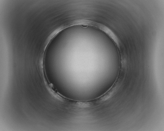 X0000112160954200908141232