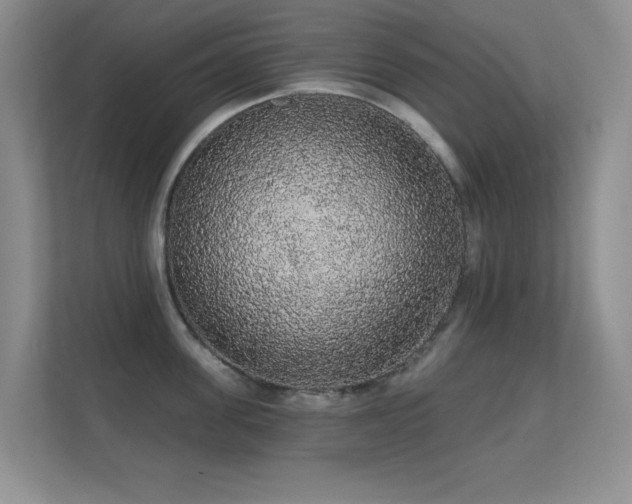 X0000112160955200908141232