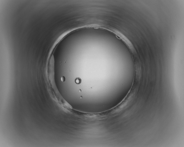 X0000112160956200908141232
