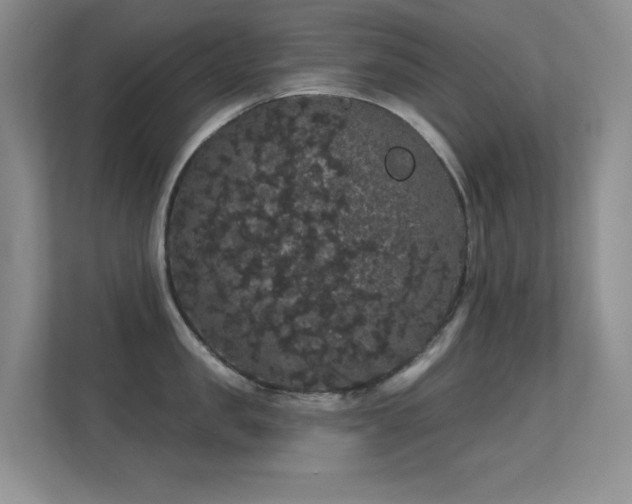 X0000112160957200908141232