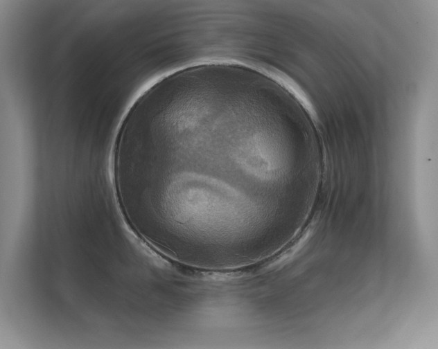 X0000112160958200908141232