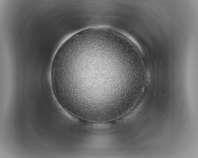 X0000112160959200908141232