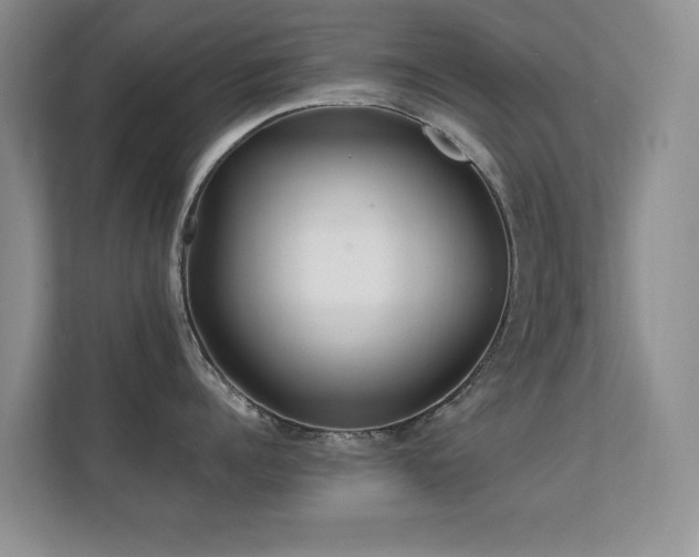 X0000112160960200908141232