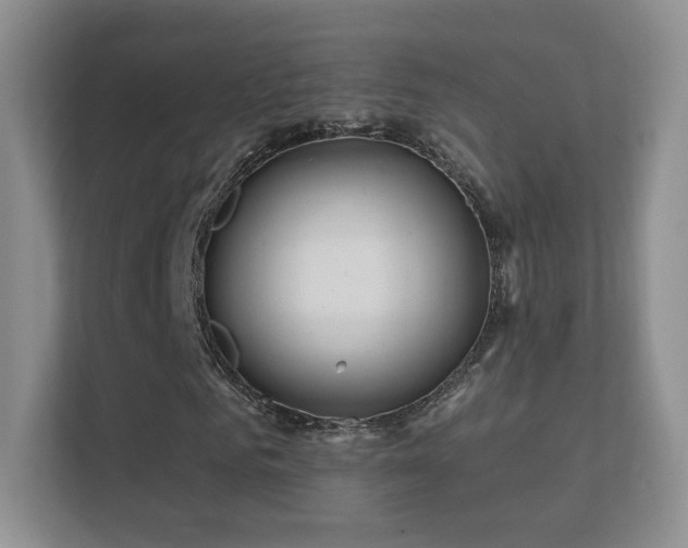 X0000112160961200908141231