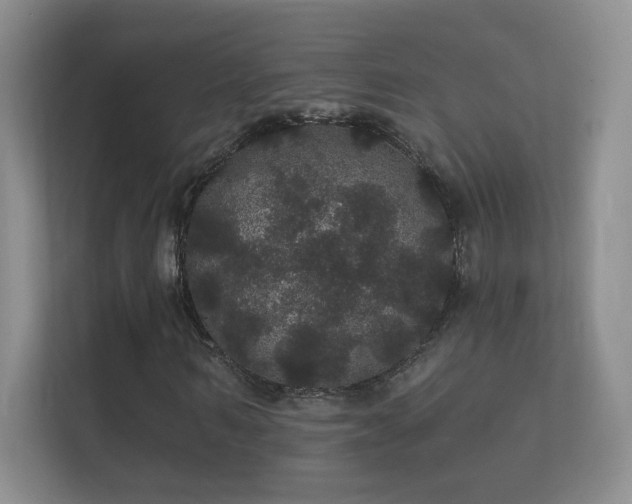 X0000112160962200908141231
