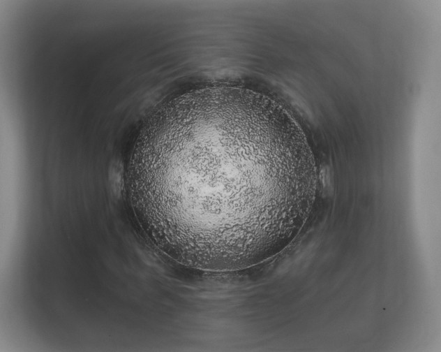 X0000112160963200908141231