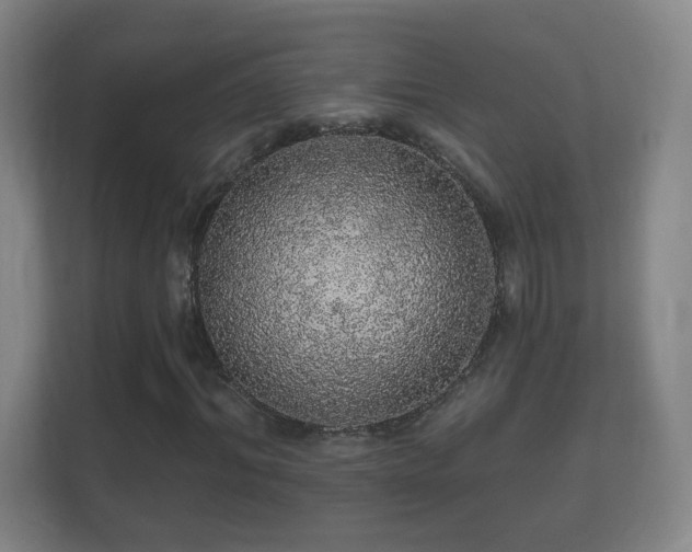 X0000112160964200908141231