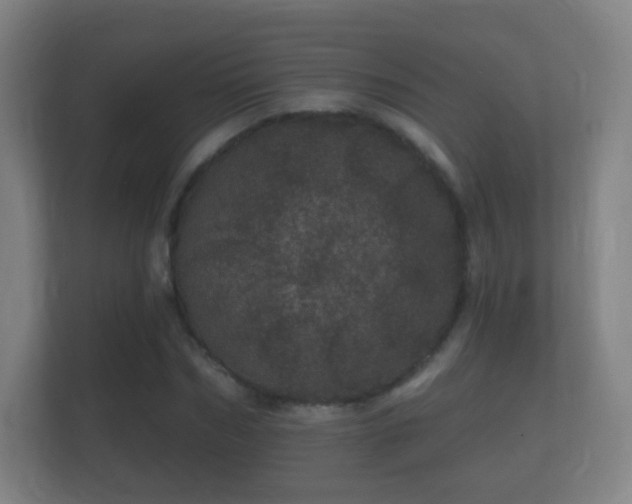 X0000112160970200908141231