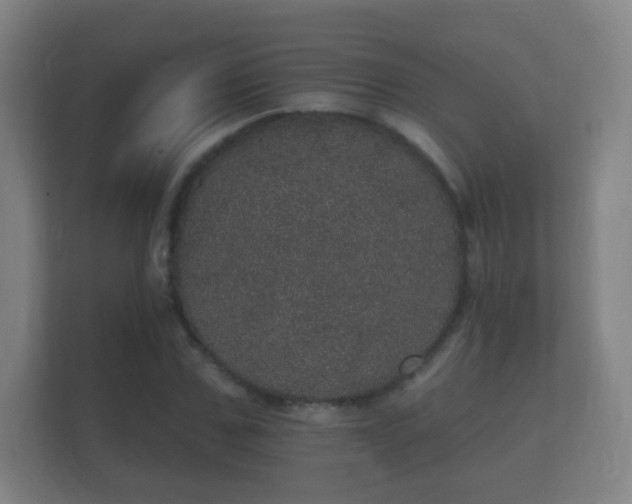 X0000112160971200908141231