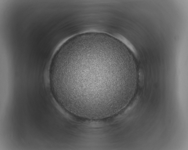 X0000112160972200908141231