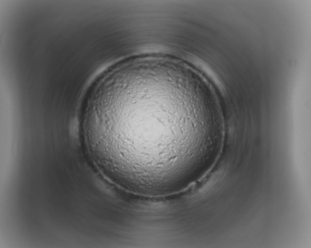 X0000112160975200908141231