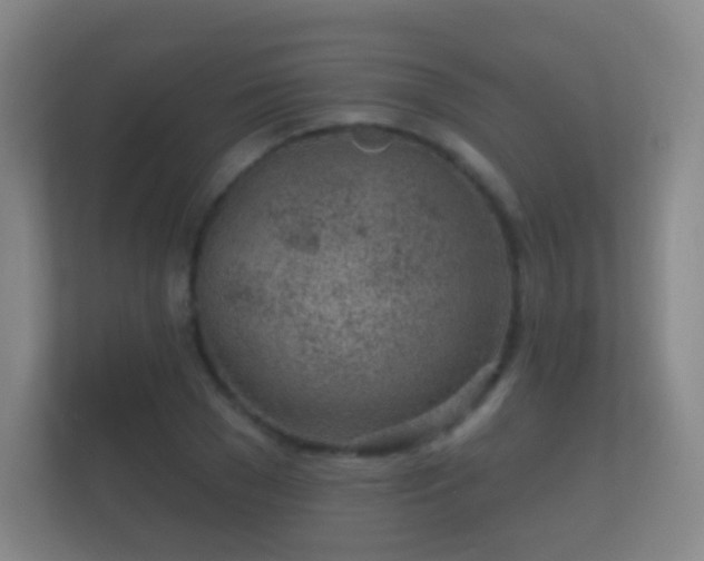 X0000112160977200908141231