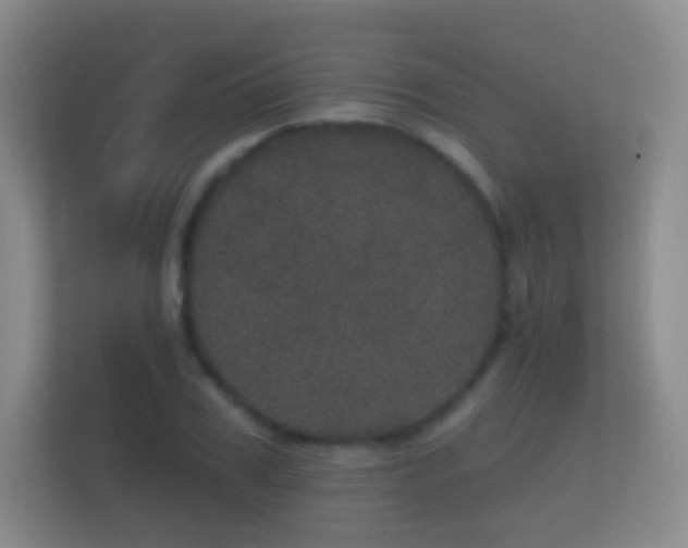 X0000112160979200908141231