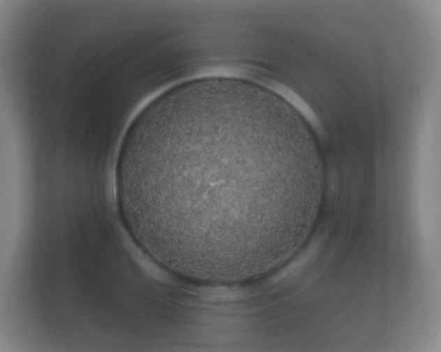X0000112160980200908141231