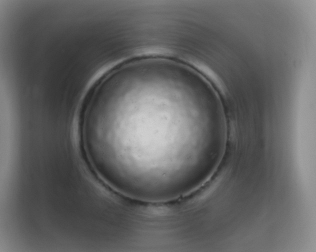 X0000112160983200908141231