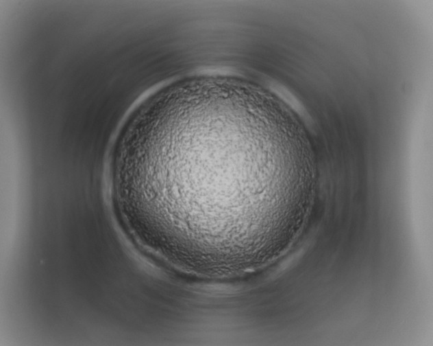 X0000112160984200908141231