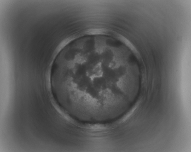 X0000112160986200908141231