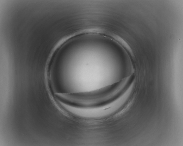 X0000112160989200908141231