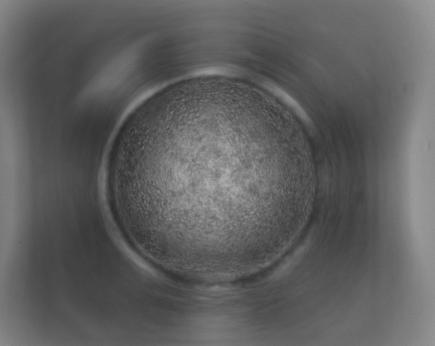 X0000112160991200908141231