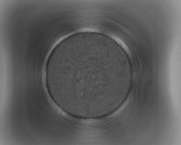 X0000112160992200908141231