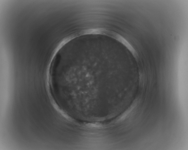X0000112160994200908141231