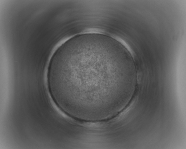 X0000112160995200908141231
