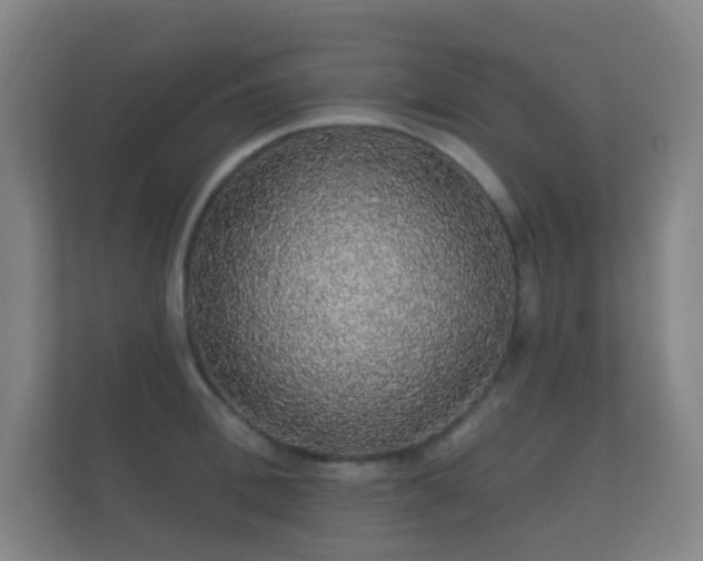 X0000112160996200908141231