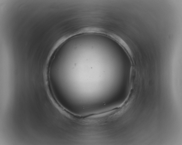 X0000112160997200908141231