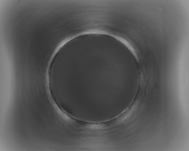X0000112160998200908141231