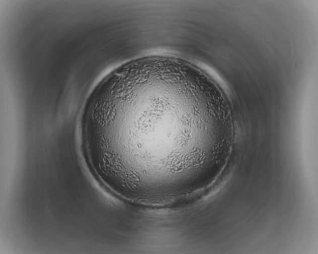 X0000112160999200908141231