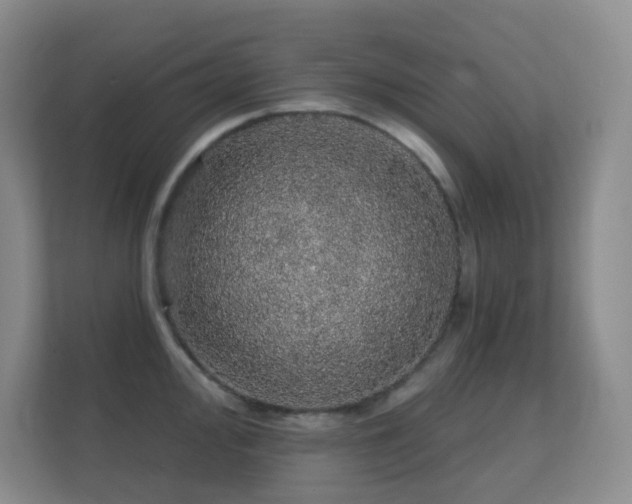 X0000112161000200908141231