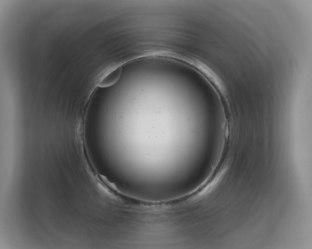 X0000112161001200908141231