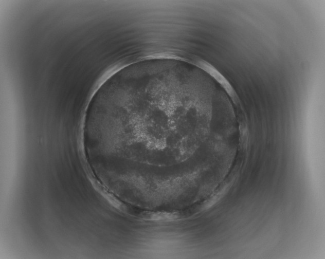 X0000112161002200908141231