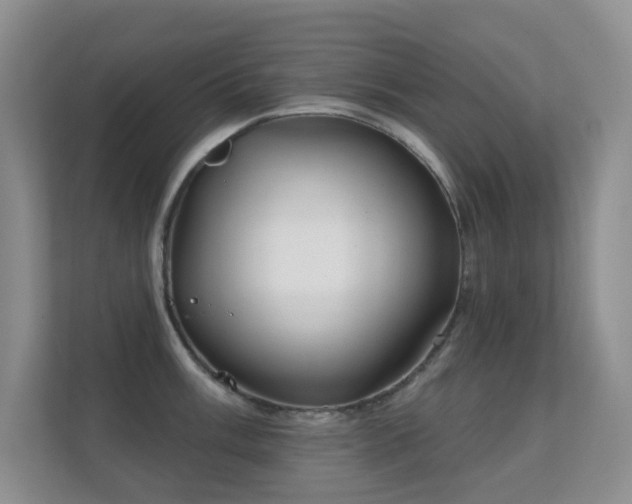 X0000112161003200908141231