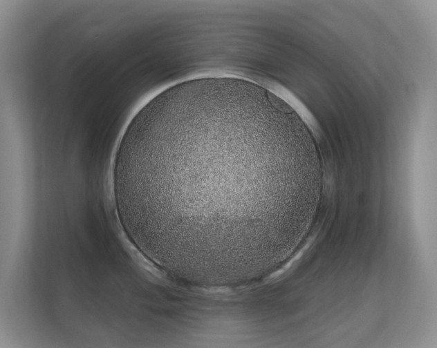 X0000112161004200908141231