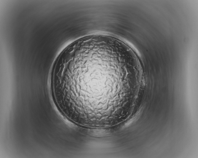 X0000112161007200908141231