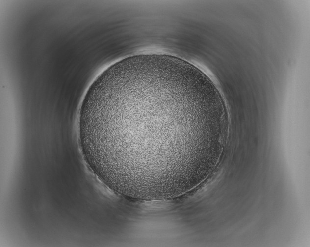 X0000112161008200908141231