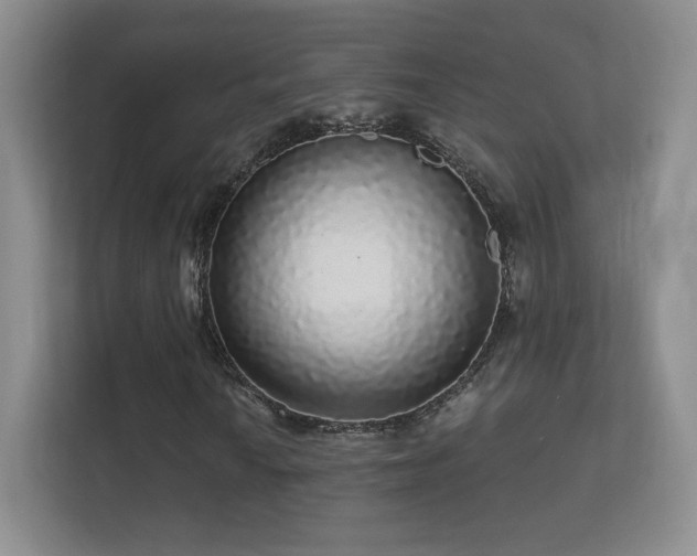 X0000112161010200908141230
