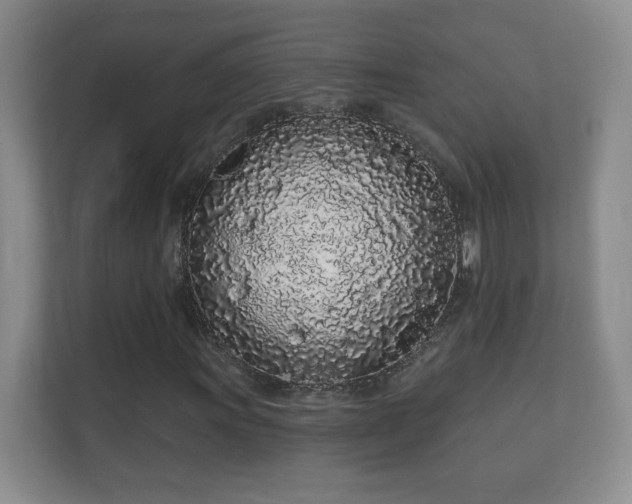 X0000112161011200908141230