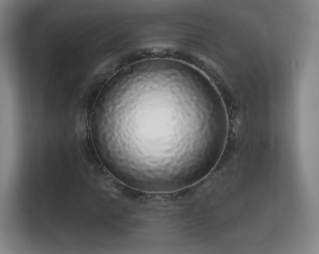 X0000112161014200908141230