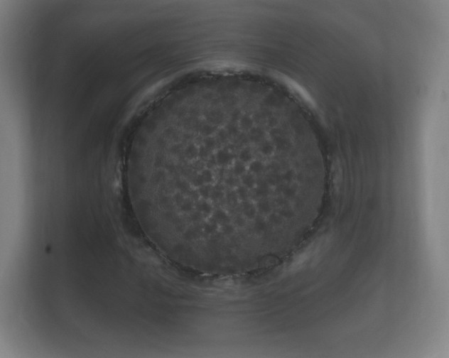X0000112161016200908141230