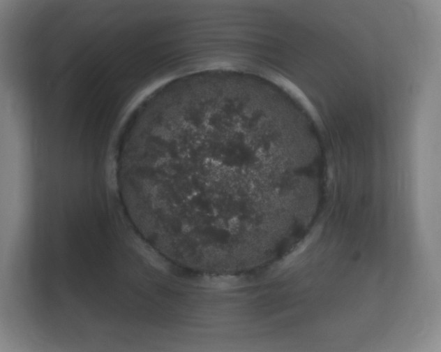 X0000112161019200908141230