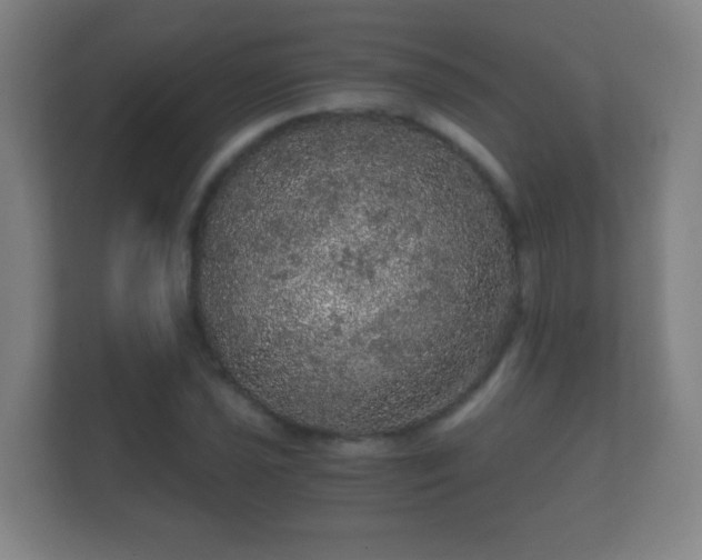 X0000112161021200908141230