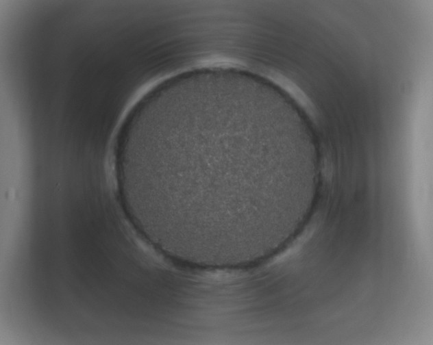 X0000112161022200908141230