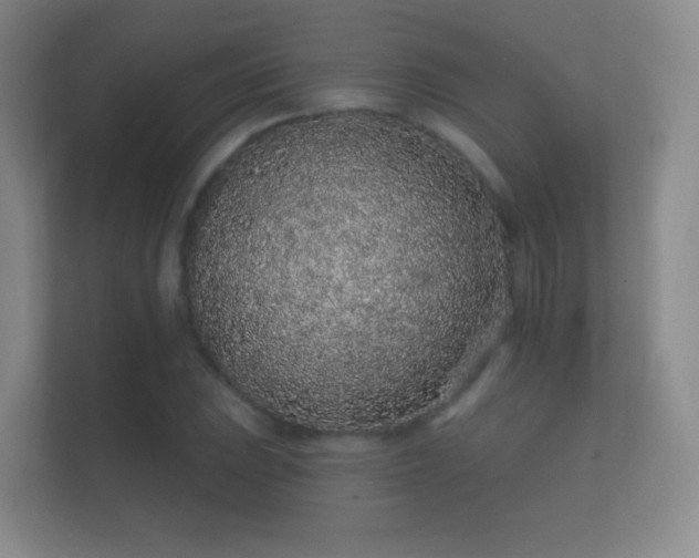 X0000112161023200908141230