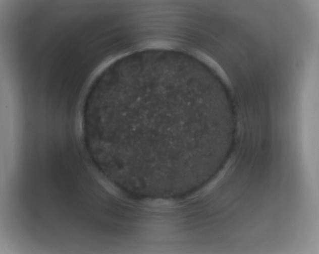 X0000112161027200908141230