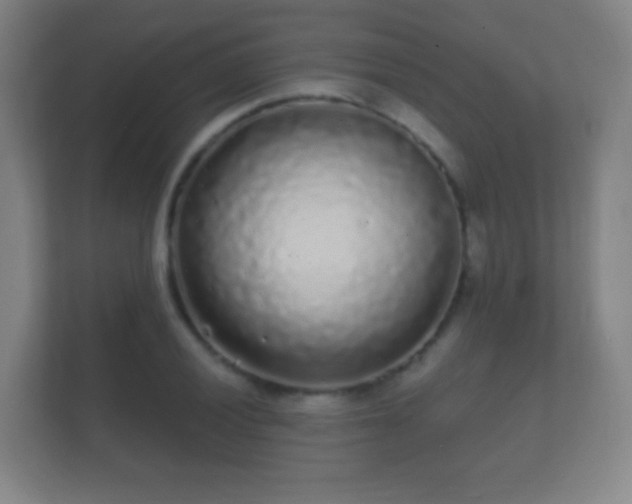 X0000112161028200908141230