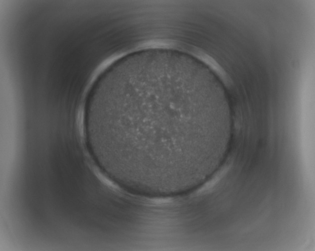 X0000112161030200908141230