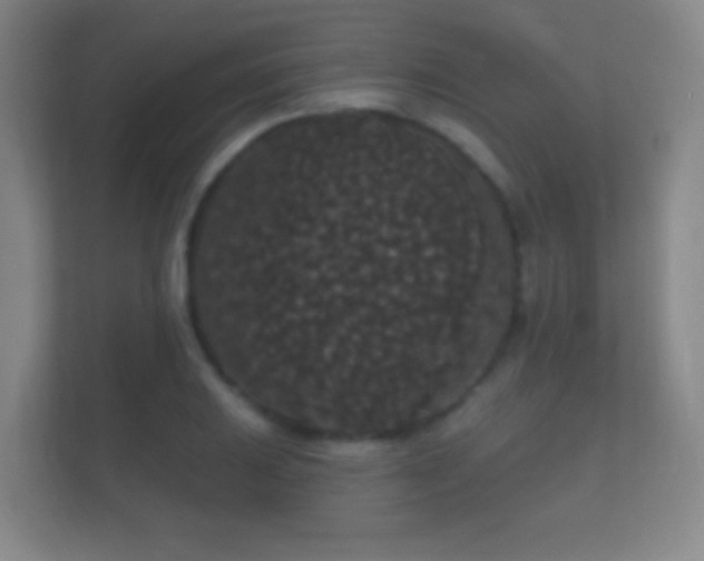 X0000112161031200908141230