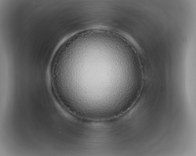 X0000112161032200908141230